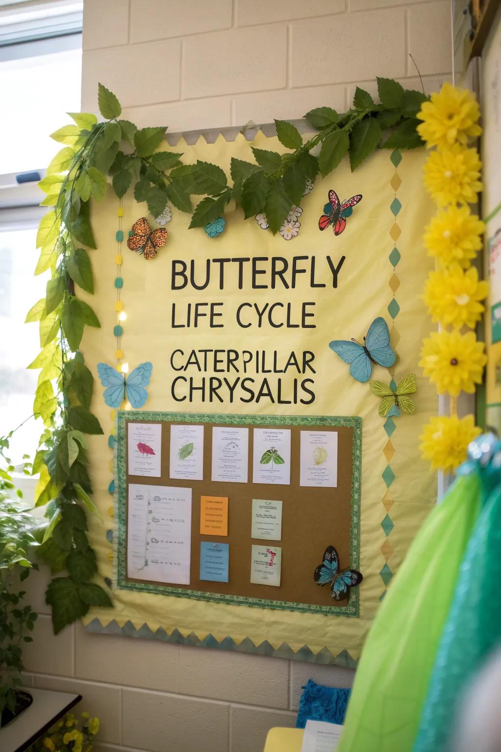 Bring science to life with a butterfly life cycle board that's both educational and beautiful.