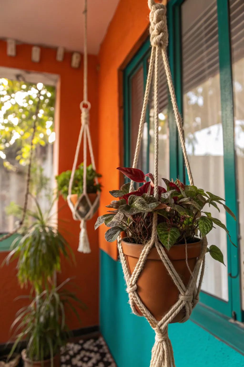 Let your plants hang in style with chic rope planters.